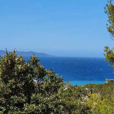 Les Gites Du Cap Corse Nonza Eksteriør bilde