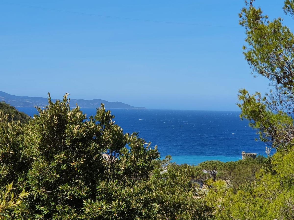 Les Gites Du Cap Corse Nonza Eksteriør bilde