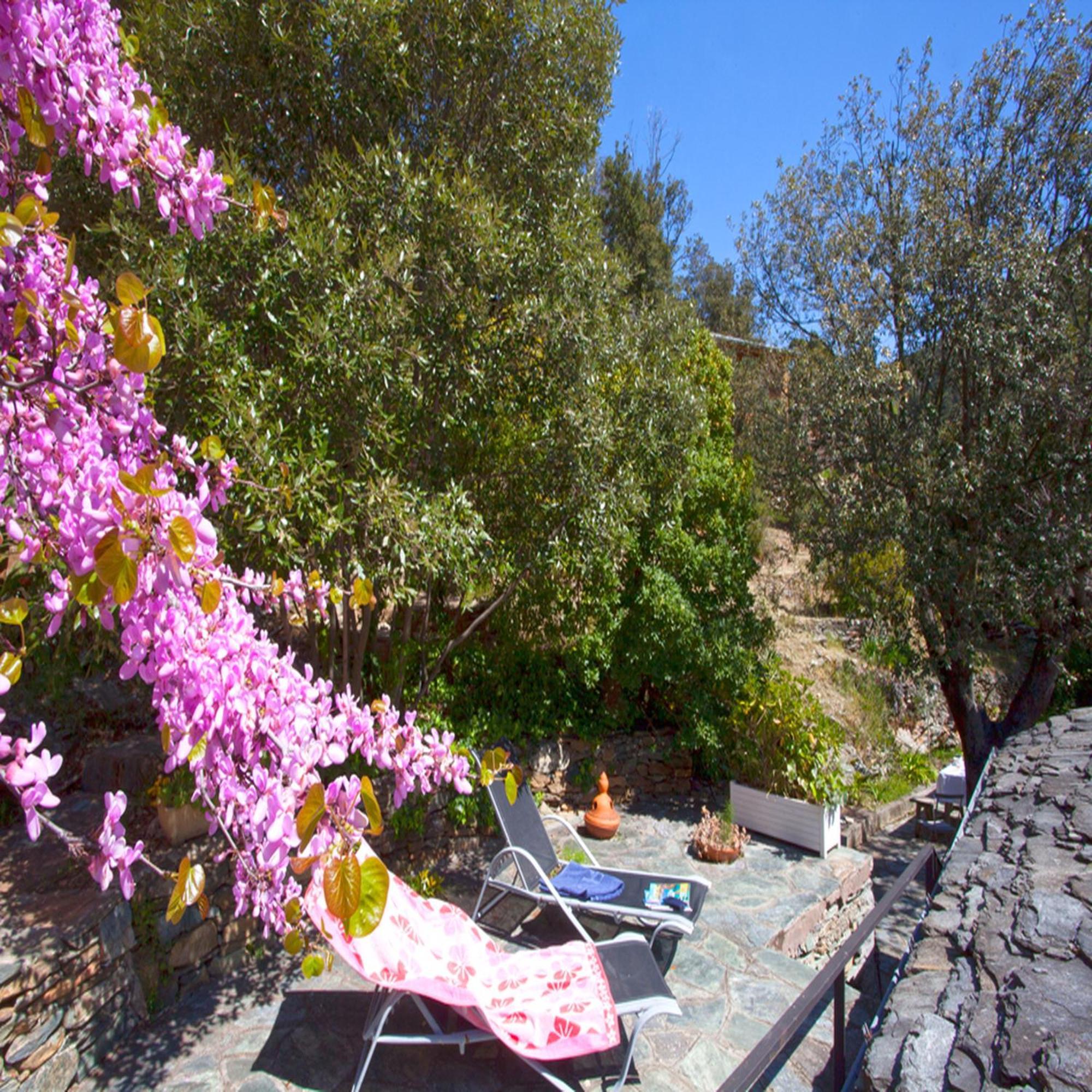 Les Gites Du Cap Corse Nonza Rom bilde