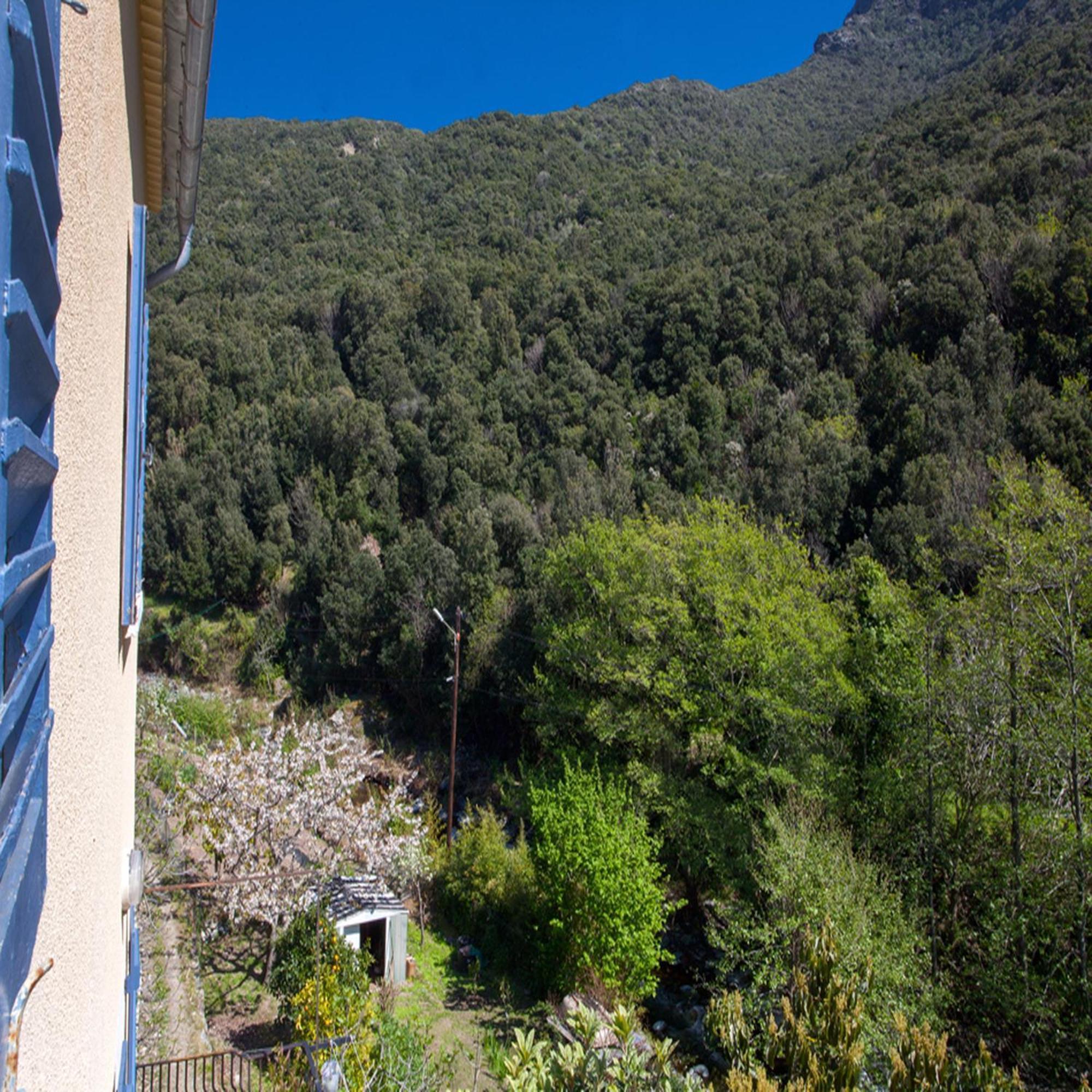 Les Gites Du Cap Corse Nonza Rom bilde