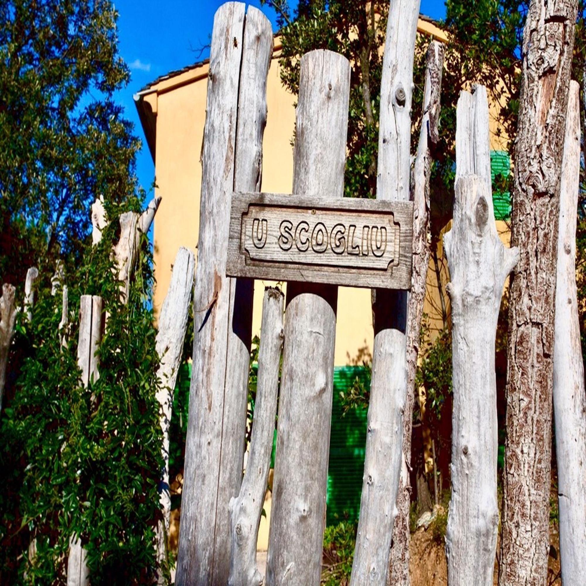 Les Gites Du Cap Corse Nonza Rom bilde